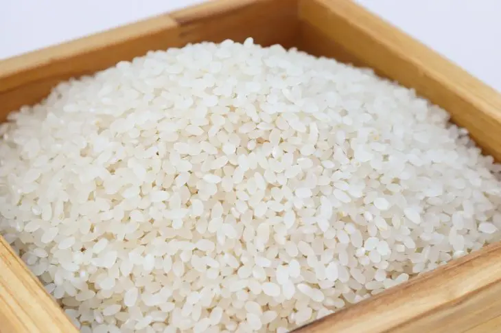 Tout sur le riz blanc