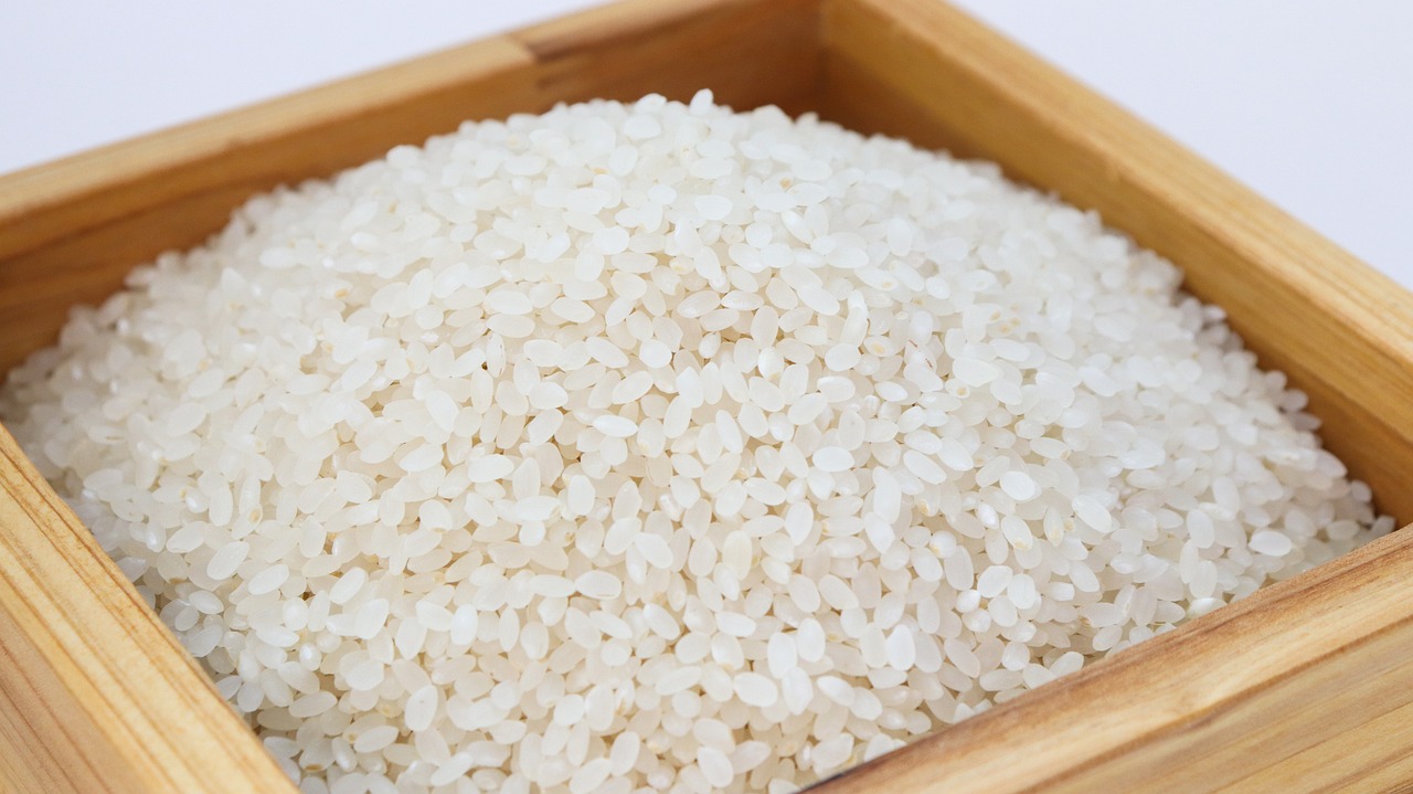 Tout sur le riz blanc