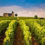 Vignoble bordelais, sélection du Guide Michelin des vins
